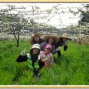 정순농장 이미지