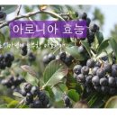 푸르매농장 이미지