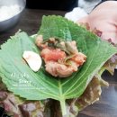 천통비빔돼지