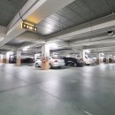 늘푸른공인중개사사무소 이미지