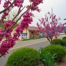 진원반디길 이미지