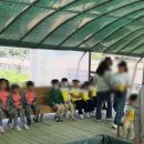 명석농장 이미지