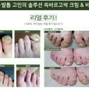 세종디앤티