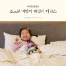 다미헤어파크뷰 | 아기와 소노문 비발디파크 패밀리 디럭스 킹트윈 숙소 후기