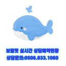 보람핏