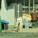 농장자동차공업사 이미지