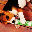 (주)노즈워크 이미지