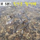 다세대마트 이미지