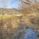 수아농원 이미지