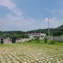 금구 溫 이미지