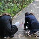 신흥2리 마을회관 | 제주도 동백마을 동백꽃은 아직 ...