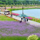 장성공영주차장 이미지