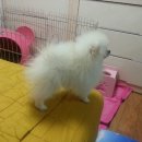 엘리스테이 이미지