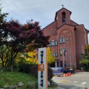 야탑골한방삼계탕 이미지