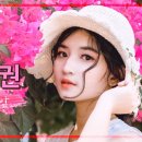 황룡복권 이미지