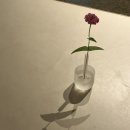역전자동차병원 | 임신기록 4주 임밍아웃 파이널체크 쓰리라인 임테기 아기집 난황 관악구보건소에서 임산부등록한 후기