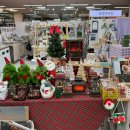 중앙동227 이미지