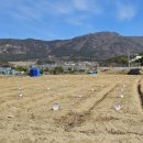 이글농장 이미지