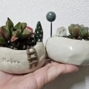 공방호