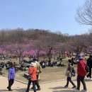 동산애견 이미지