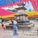 해인사성보박물관 | 버찌 +1626 (4) 경남 합천 해인사, 해인사 성보박물관