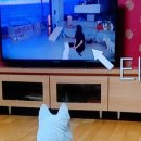 공이농장 이미지