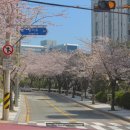 동삼3동-3 이미지