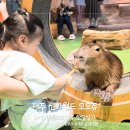 제주돼지야 | 제주 실내동물원 모모쥬 후기｜신화월드에서 아이와 가볼 만한 곳, 카피바라 체험까지!