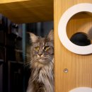 메인쿤 하우스 이미지