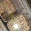 부산시설공단 본사 3층(남/녀) | [부산/남구]부산초밥뷔페 쿠우쿠우 주말런치후기(신메뉴부터 전메뉴 다 담아봄)::쿠우쿠우골드부산경성대점