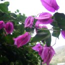 서울숲3 이미지