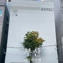 모과호텔(mogua hotel) | 부산여행 가성비 숙소 추천 서면 모과호텔