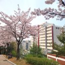 원신근린공원 (1) 이미지