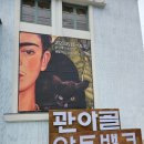 아트뱅크 | 충주 무료 전시 추천, 퇴근 후 힐링하고 온 프리다 칼로 레플리카전 후기