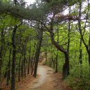 [서울] 금천구의 오랜 주산이자 달달한 뒷동산, 호암산 봄나들이 ＜호암산성, 석구상, 한우물, 불영암, 제2한우물터, 신랑각시바위＞ 이미지