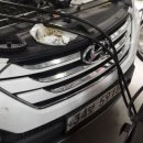 진호카센타 이미지