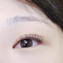 래쉬아트살롱 이미지