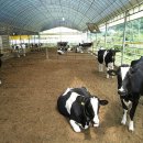 을축목장 이미지