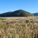 복내5일시장 이미지