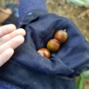 이곡정자공원 이미지