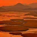 순천만풍경 이미지