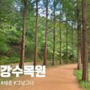 금강수목원 이미지