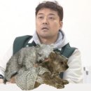 무무유치원 네이버블로그