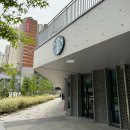블루망고 블랙 | 스타벅스 명지대점 주차 / 신메뉴 자몽망고코코 프라푸치노, 블랙사파이어 치즈케이크