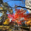 장안문버스정류장 | (버스로 가는 수원여행)걷기 좋은 화성행궁과 수원화성 산책, 돈가스, 수원화성빵 (화서문에서 장안문까지)