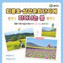 2025 회룡포 봄꽃축제 이미지