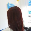 오늘머리헤어 - 목포시 교육로 87 | 오늘머리헤어