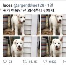 본가장수촌 이미지