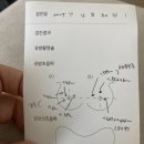 세종바른유외과의원 네이버블로그