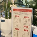 백년가 교동짬뽕 본점 이미지